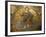 Mosaics Depicting the Final Judgement, Baptistery, Duomo Florence, Tuscany, Italy, Europe-Godong-Framed Photographic Print