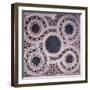 Mosaics in Cloister of Paradise, Amalfi Cathedral-null-Framed Giclee Print