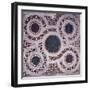 Mosaics in Cloister of Paradise, Amalfi Cathedral-null-Framed Giclee Print