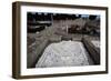 Mosaics in the House of the Birds-null-Framed Giclee Print