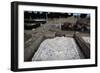 Mosaics in the House of the Birds-null-Framed Giclee Print