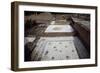 Mosaics in the House of the Birds-null-Framed Giclee Print