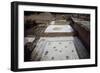 Mosaics in the House of the Birds-null-Framed Giclee Print