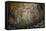Mosaics Inside the Church of Santa Maria in Trastevere-Stuart Black-Framed Stretched Canvas