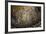 Mosaics Inside the Church of Santa Maria in Trastevere-Stuart Black-Framed Photographic Print