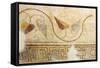 Mosaics, Moses Memorial Church, Mount Nebo, East Bank Plateau, Jordan.-Nico Tondini-Framed Stretched Canvas