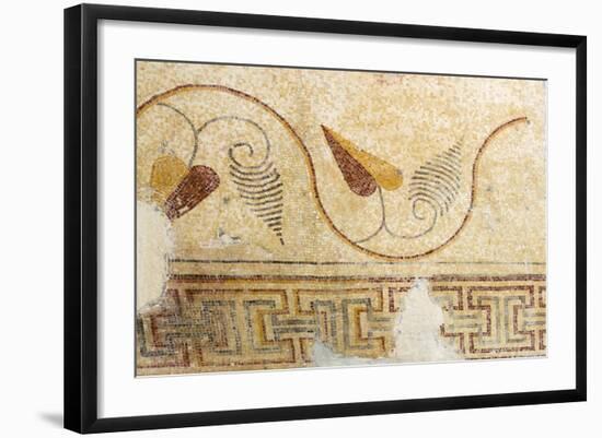 Mosaics, Moses Memorial Church, Mount Nebo, East Bank Plateau, Jordan.-Nico Tondini-Framed Photographic Print