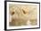 Mosaics, Moses Memorial Church, Mount Nebo, East Bank Plateau, Jordan.-Nico Tondini-Framed Photographic Print