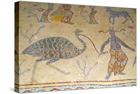 Mosaics, Moses Memorial Church, Mount Nebo, East Bank Plateau, Jordan.-Nico Tondini-Stretched Canvas