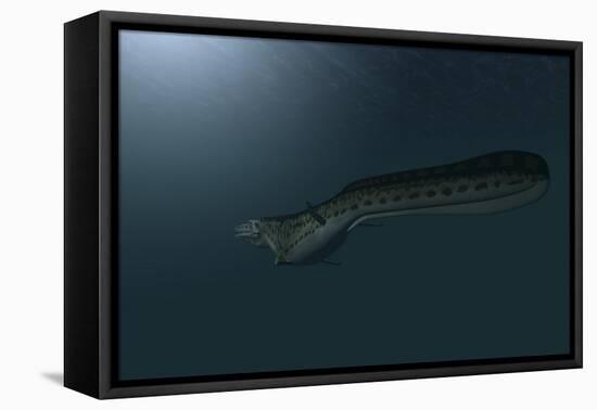 Mosasaur Swimming in Prehistoric Waters-null-Framed Stretched Canvas