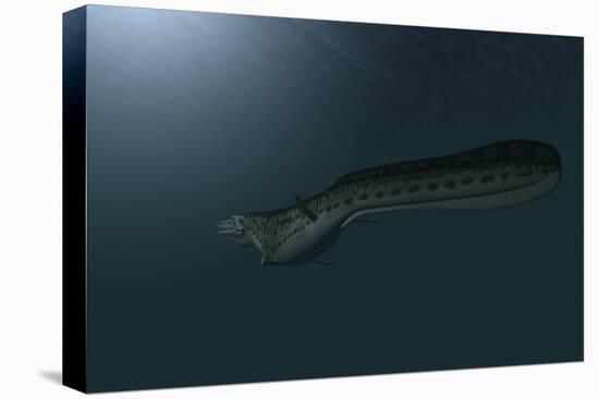 Mosasaur Swimming in Prehistoric Waters-null-Stretched Canvas