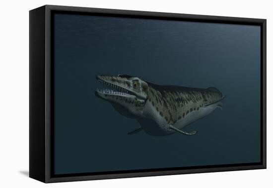 Mosasaur Swimming in Prehistoric Waters-null-Framed Stretched Canvas