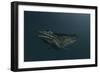 Mosasaur Swimming in Prehistoric Waters-null-Framed Premium Giclee Print