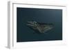 Mosasaur Swimming in Prehistoric Waters-null-Framed Premium Giclee Print