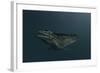 Mosasaur Swimming in Prehistoric Waters-null-Framed Art Print