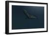 Mosasaur Swimming in Prehistoric Waters-null-Framed Premium Giclee Print