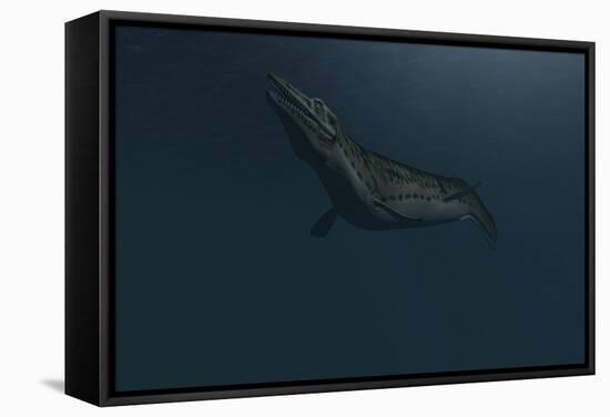 Mosasaur Swimming in Prehistoric Waters-null-Framed Stretched Canvas