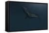 Mosasaur Swimming in Prehistoric Waters-null-Framed Stretched Canvas