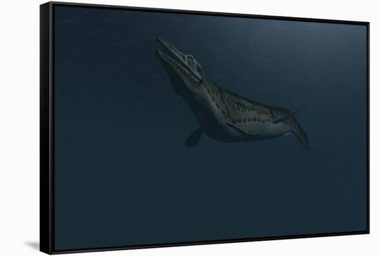 Mosasaur Swimming in Prehistoric Waters-null-Framed Stretched Canvas
