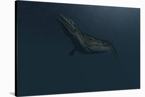 Mosasaur Swimming in Prehistoric Waters-null-Stretched Canvas