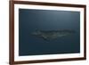 Mosasaur Swimming in Prehistoric Waters-null-Framed Art Print