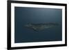 Mosasaur Swimming in Prehistoric Waters-null-Framed Art Print