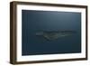 Mosasaur Swimming in Prehistoric Waters-null-Framed Premium Giclee Print