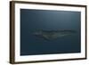 Mosasaur Swimming in Prehistoric Waters-null-Framed Art Print