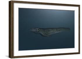 Mosasaur Swimming in Prehistoric Waters-null-Framed Art Print