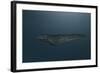 Mosasaur Swimming in Prehistoric Waters-null-Framed Art Print