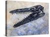 Mosasaurus Dinosaur Skull-Stocktrek Images-Stretched Canvas