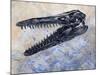 Mosasaurus Dinosaur Skull-Stocktrek Images-Mounted Art Print