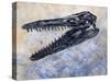 Mosasaurus Dinosaur Skull-Stocktrek Images-Stretched Canvas