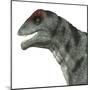 Moschops Dinosaur, White Background-Stocktrek Images-Mounted Art Print