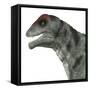 Moschops Dinosaur, White Background-Stocktrek Images-Framed Stretched Canvas