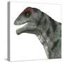 Moschops Dinosaur, White Background-Stocktrek Images-Stretched Canvas