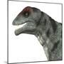 Moschops Dinosaur, White Background-Stocktrek Images-Mounted Art Print