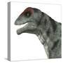 Moschops Dinosaur, White Background-Stocktrek Images-Stretched Canvas