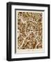 Moscow City Street Map-Michael Tompsett-Framed Art Print