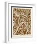 Moscow City Street Map-Michael Tompsett-Framed Art Print