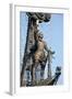 Moscow, Monumental Monument 'Czar Peter the Great'-Catharina Lux-Framed Photographic Print