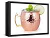 Moscow Mule Cocktail in a Copper Mug Garnished with Lime and Mint Leaves-popout-Framed Stretched Canvas