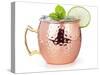 Moscow Mule Cocktail in a Copper Mug Garnished with Lime and Mint Leaves-popout-Stretched Canvas