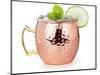 Moscow Mule Cocktail in a Copper Mug Garnished with Lime and Mint Leaves-popout-Mounted Photographic Print