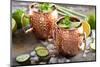 Moscow Mule Cocktail with Lime, Mint and Cucumber-Elena Veselova-Mounted Photographic Print