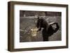Moscow, Patriarch Ponds, Monument, Close-Up, Detail-Catharina Lux-Framed Photographic Print