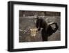 Moscow, Patriarch Ponds, Monument, Close-Up, Detail-Catharina Lux-Framed Photographic Print