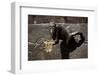 Moscow, Patriarch Ponds, Monument, Close-Up, Detail-Catharina Lux-Framed Photographic Print