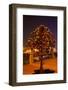Moscow, Tree Made of Padlocks, Wedding Ritual, at Night-Catharina Lux-Framed Photographic Print