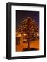 Moscow, Tree Made of Padlocks, Wedding Ritual, at Night-Catharina Lux-Framed Photographic Print